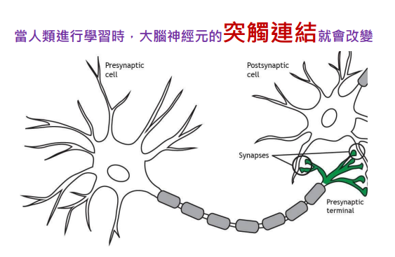AI類神經網路：看懂了，就能掌握財富密碼